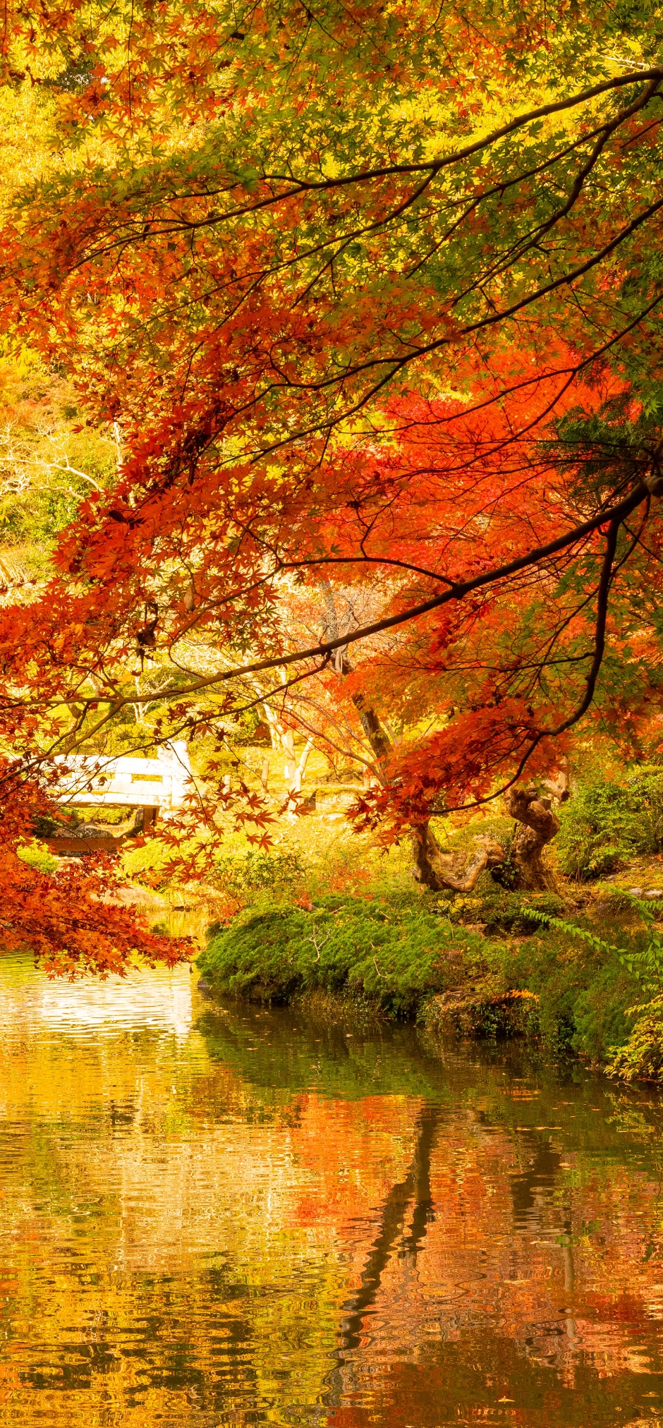 経験を読むということは